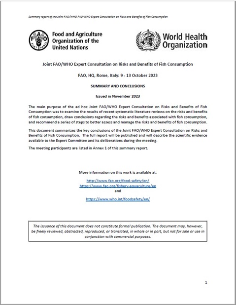 Ad-hoc Joint FAO/WHO Expert consultation on risks and benefits of fish consumption