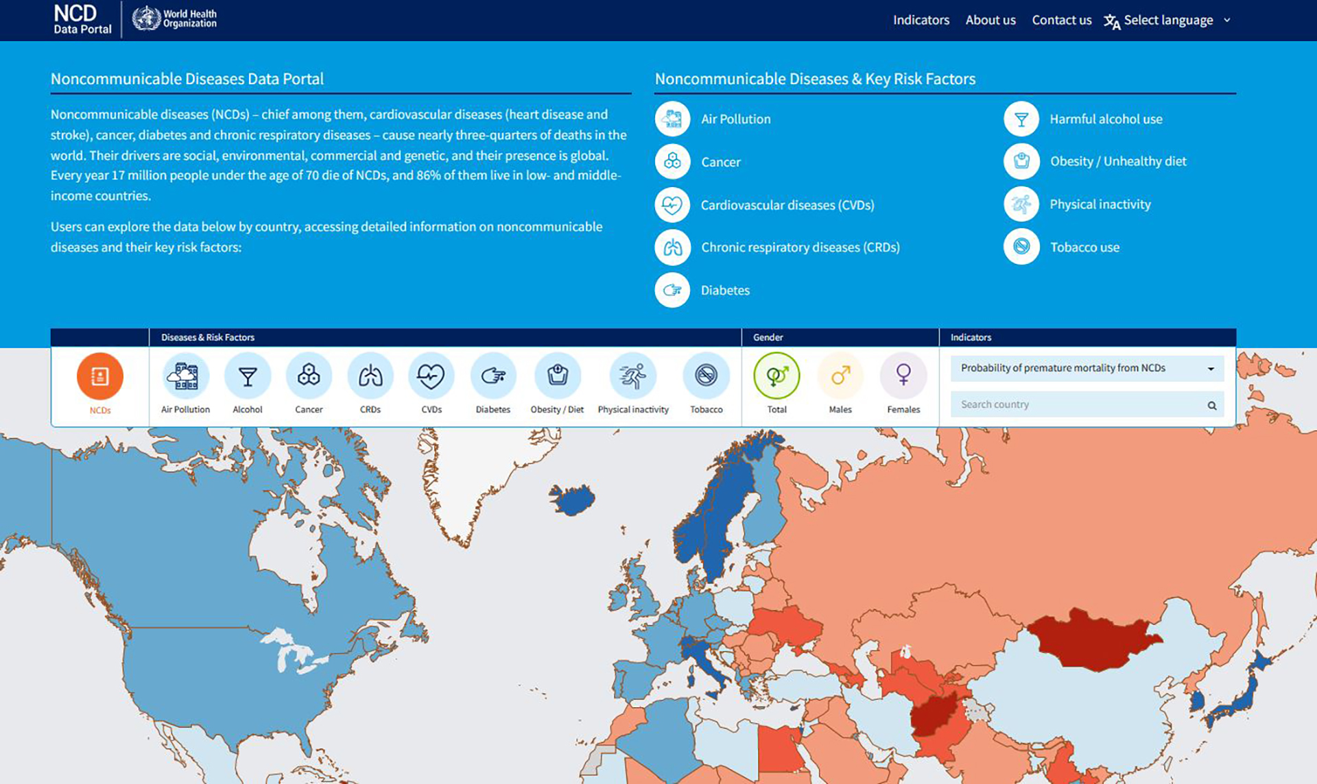 decorative thumbnail