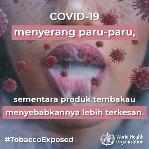 Infographic visualising the recommended advice.